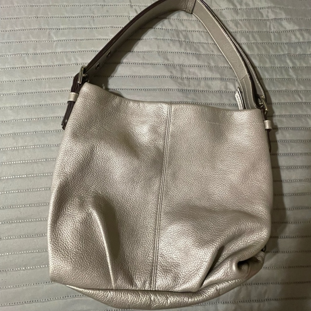 Coach Silver and Lavender bag!